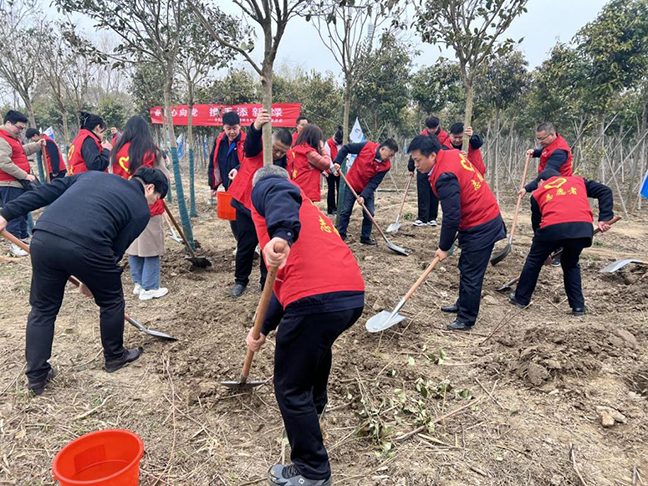 ca88手机客户端(安卓/苹果)CA88会员登录入口